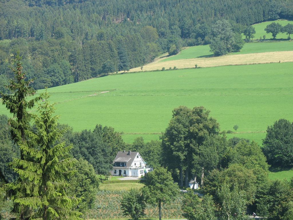 Pension Haus Am Walde Шмалленберг Экстерьер фото