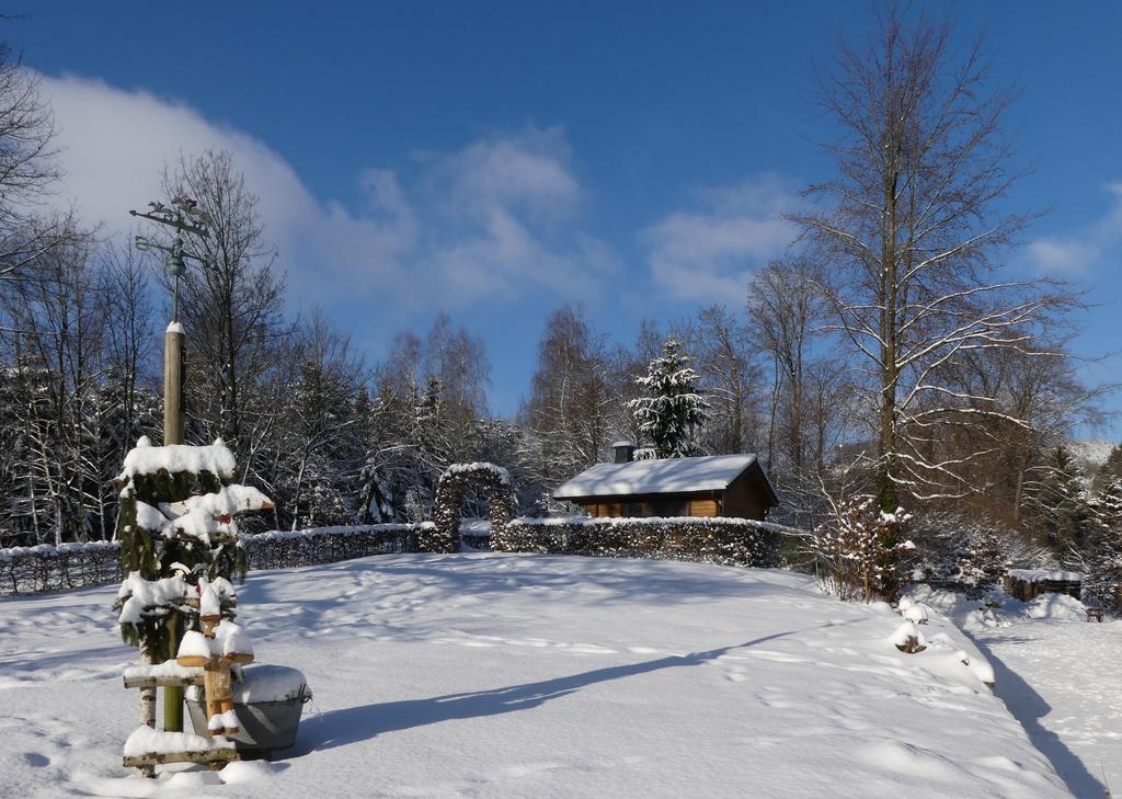 Pension Haus Am Walde Шмалленберг Экстерьер фото
